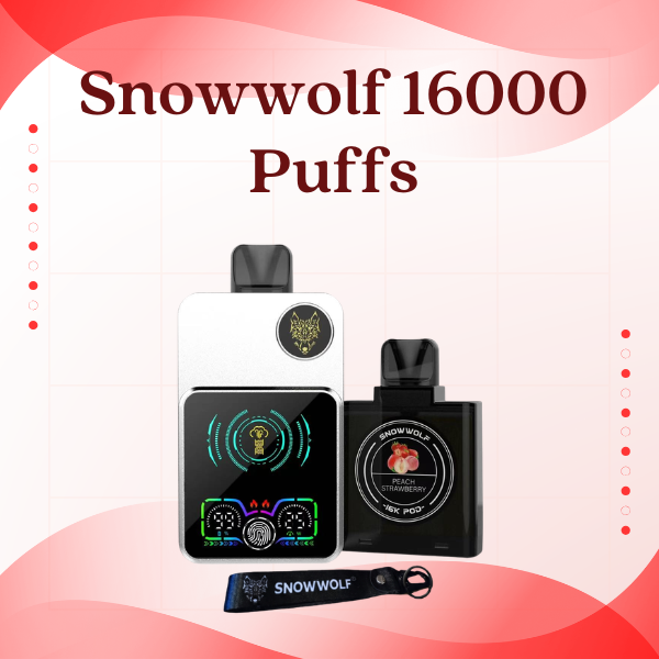Snowwolf 16000 Puffs disposable vape with smart LED screen